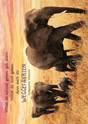 Afrikanische Elefanten Postkarte – Inspirierende Weisheit: Willst du schnell gehen, geh allein. Willst du weit gehen, dann such dir Weggefährten. – Hochwertige Tier-Postkarte für Naturfreunde