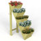 Vivo Technologies 5 Tier Wooden Planter Garden Flower Herb Planter Box Wooden Decorative Planters for Outdoor Indoor, 75cm(H) x 45cm(D) x 30cm(L)