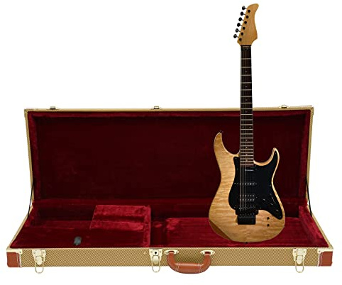 NoneDanGee E-gitarrenkoffer Hartschalenkoffer für E-Gitarren Tragbarer Quadratischer Gitarrenkoffer Hardshell für Standard-E-Gitarren Schwarz/Gelb, 105 * 36 * 11cm (Gelb)