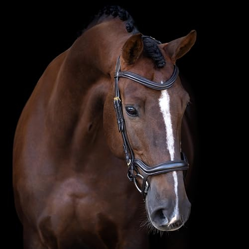 Imperial Riding Zaumzeug IRH mit ergonomischem hannoverschem Reithalfter, anatomisches Genickstück und verstellbare Verschnallung, Leder, Braun, Pony