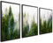 ag.art deco Wald im Nebel Bild Kunstdruck | 3 Stück 50x70cm mit RAHMEN schwarz | Wohnzimmer Schlafzimmer Küche Esszimmer und Badezimmer Poster Set