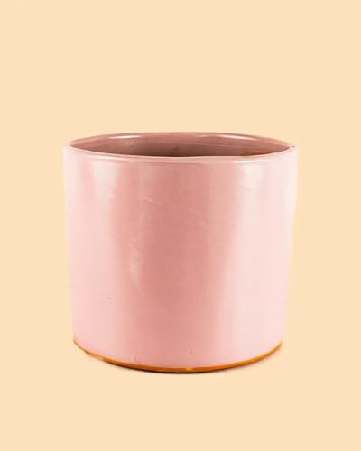 Pur Plant Maceta Rosa L | Maceta Terracota Esmaltada