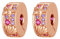 Rimgoris 925 Sterling Silber Charme für Frauen Armbänder Halskette Rose Glod Ozean Shell Seestern Clips Dangle Charm Geschenk 2er Pack