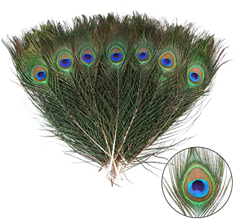 Pfauenfedern, lang, natürlich, in Großpackung, 80–90 cm, für Vasen, Basteln, Vasen, Hochzeit, Party, Weihnachten, Dekoration, Pfauenfedern, 24 Stück