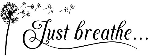 Just Breathe Vinyl-Wandaufkleber, Yoga-Zitate, positive Entspannung, Motto, Kunst, Buchstaben, Sprüche, Wohnzimmer, Dekor, Schriftzug