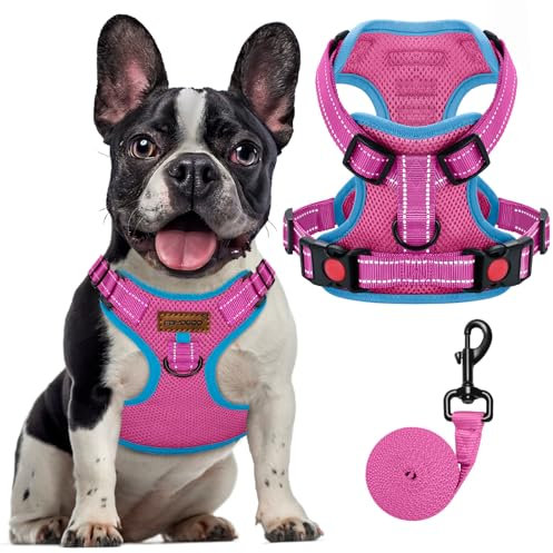 FAYOGOO Hundegeschirr, Kein Choke Front Clip Hund Reflektierendes Geschirr, No-Pull Verstellbare Weiche Gepolsterte Haustier Weste Set für kleine Mittlere Große Hunde Gehen (Rosa, M)