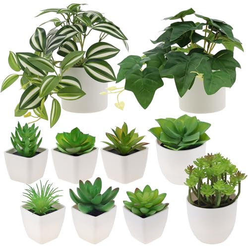 Gresorth Satz von 10 Künstliche Sukkulenten Pflanze Eingetopft Dekoration Gefälschte Ivy Blätter Modell Lebensecht Peperomia Wassermelone Rebe Verzierung Kabinett Neujahr