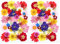 MWOOT 70 Pezzi Fiori Pressati Secchi per Fabbricazione Arte Pendente Gioielli della Resina Fatta Mano della Candela, Decorazione Floreale Petali Margherita Bianchi Rosa Gialli Rossi (Confezione da 2)