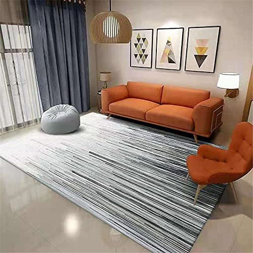 joop Teppich Grau Wohnzimmer Teppichgrau gestreifter einfacher moderner langlebiger Teppich weich Teppich für esszimmer 200x300cm Teppich kinderzimmer 6ft 6.7''X9ft 10.1''