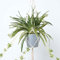 HOMESCAPES Artificial Hanging Basket 95 cm Long Faux Spider Plant In Grey Melamine Pot with Macramé Knotted Rope Style Hanger and Hook for Indoor Decoration