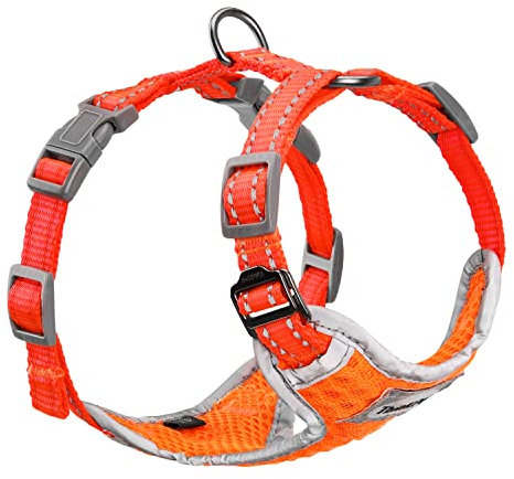 ThinkPet No-Pull Hundegeschirr Leine Set, Atmungsaktiv Brustgeschirr für Kleine Mittlere Große Hunde, Einstellbar Weich Laufgeschirre Sicher Kontrolle Gepolstert Reflektierendes Sicherheitsgeschirr