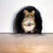 20pcs 3D-Mausloch, realistischer Wandaufkleber, Mausaufkleber, Maus in einem Loch, Wandtattoo, lustige Kunst, Heimdekoration, Vinyl, für Wohnzimmer, Kinderzimmer, Schlafzimmer, Kinderzimmer(1)