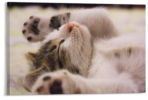 Cat Wandbild Cute Kitten Leinwand Gemälde Wand-Dekorationen Poster Leinwanddrucke Kunstwerk Für Schlafzimmer Wanddekoration Gerahmt 20x30inch(50x75cm)