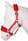 Equipride Horse Print Padded Nylon Headcollars with Matching Lead Rope RED (Cob)