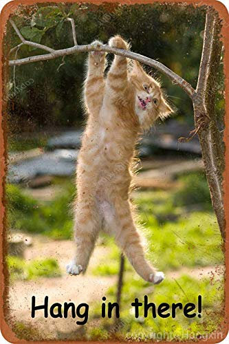 Hang IN There CAT Nostalgischer Stil Metall Street Signage Garage Home Bar Dekoration Retro Art Kreatives Geschenk 8x12 Zoll