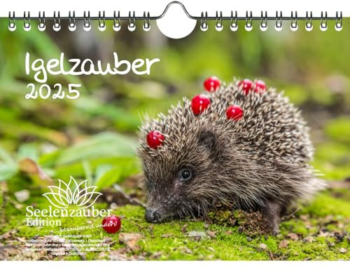 Igelzauber DIN A5 Wandkalender für 2025 Igel - Seelenzauber