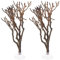 BESPORTBLE 2 Pezzi Di Ramo Di Un Acquario Acquario Naturale Ramo Di Un Albero Di Legno Acqua Dolce Terrario Di Acqua Salata Ornamento Habitat Decorazione Del Paesaggio Per Pesci Gamberetti