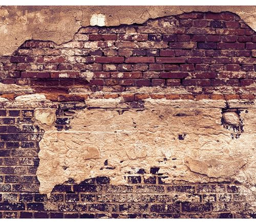 decomonkey - Papier Peint Panoramique Mur de Pierre 350x256 cm - Décoration murale – Tapisserie décorative pour chambre salon - Architecture béton brique marron urbain moderne texture fond