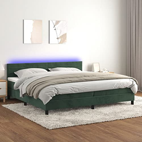 INLIFE Boxspringbett mit Matratze & LED Dunkelgrün 200x200 cm Samt,Grün,80.98KG,3134486