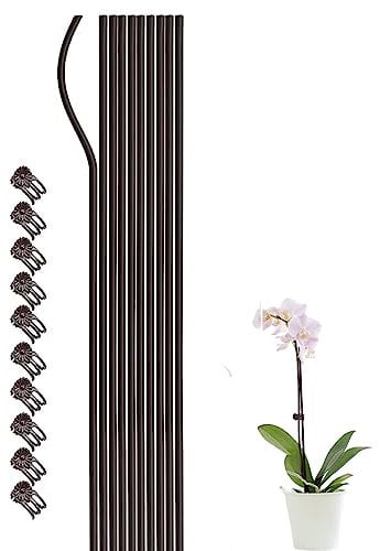 10 Pcs Plant Support Stakes with 10 Orchid Plant Clips 19.7 Inch Tall Single Stem Flower Garden Stakes Plant Sticks for Plant Climbing for Garden Lawn Pool Pond