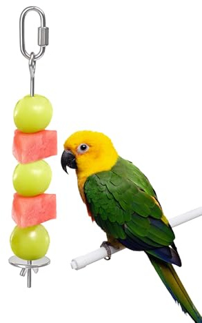 Mangeoire À Fruits pour Perroquets À Brochettes Suspendues pour Oiseaux, Brochettes d'oiseaux en Acier Inoxydable, Support pour Légumes Et Fruits, Outil d'alimentation Suspendu
