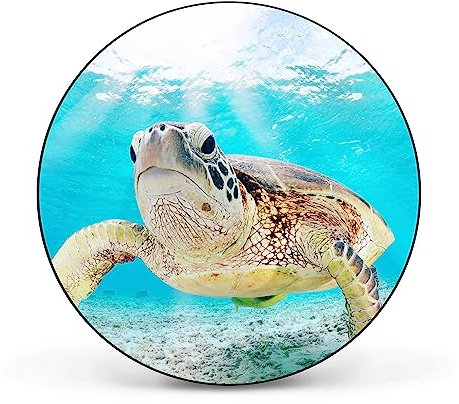 banjado® Design Magnettafel rund Größe Ø 47cm mit Motiv Elvis - magnetische Pinnwand/Magnettafel aus Metall/Memoboard für Küche, Büro & Kinderzimmer mit Magneten & Montageset