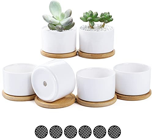 Fippy Vasi in ceramica da 8,1 cm, colore bianco, mini vasi per piante grasse, con vassoio in bambù e cuscinetto in rete, perfetti per la decorazione di casa e ufficio, confezione da 6,
