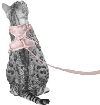 LucyBalu X Hello Kitty EXPLORER Katzengeschirr mit Leine | ausbruchsicheres Katzengeschirr mit AirTag Fach | Katzen Brustgeschirr mit Katzenleine | Sicherheitsgeschirr mit Leine für Katzen | Rosa XS/S