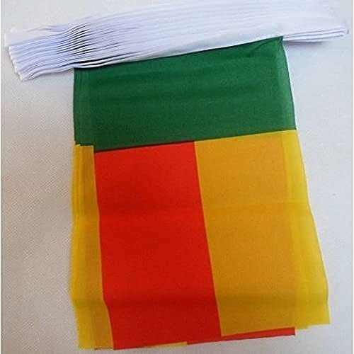 AZ FLAG - Fahnenkette Benin 12 Meter Mit 20 Flaggen - 45x30 cm - Beninische Girlande Flaggenkette 30 x 45 Cm
