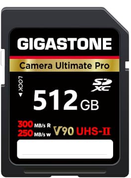 GIGASTONE UHS-II V90 512GB SD Karte, Camera Ultimate Pro, bis zu 300/250MB/s, U3 SDXC 4K Ultra HD UHD Video für DSLR Canon, inkl. 1 Mini Hülle