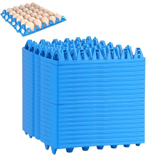 20 Stück Eieraufbewahrung, Eieraufbewahrung Kunststoff Eierschalen, Eierablage aus Kunststoff für 30 Eier Eierhalter, Eierbehälter für Kühlschrank, Eier Aufbewahrung zum Aufbewahren(Blau)