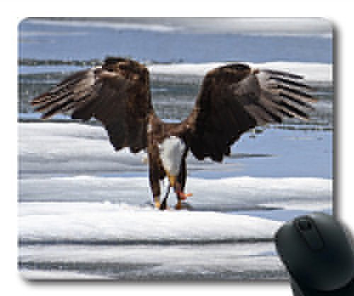 (genaue - Kante - Mousepad), Condor Adler Raptor Raptor Gaming - Maus mit Glatze zu Mac - Oder der Computer Mouse Pad.