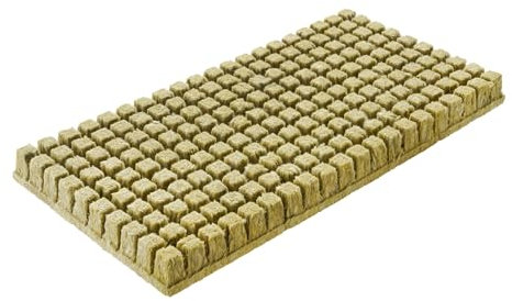 GREEN24 200 Steinwollewürfel Anzuchtblock 25x25x40mm zusammenhängend - Steinwolle für Pflanzenanzucht und Hydroponik - Für Samen, Saatgut und Stecklinge