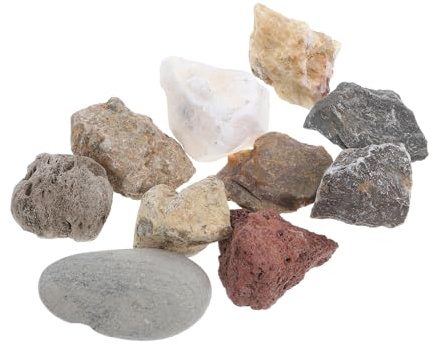TIDTALEO Gesteinsproben Satz für Kinder mit Beschrifteten Mineralien in Aufbewahrungsbox Praxisorientierte Steinsammlung für Naturwissenschaftlichen Unterricht und Labor