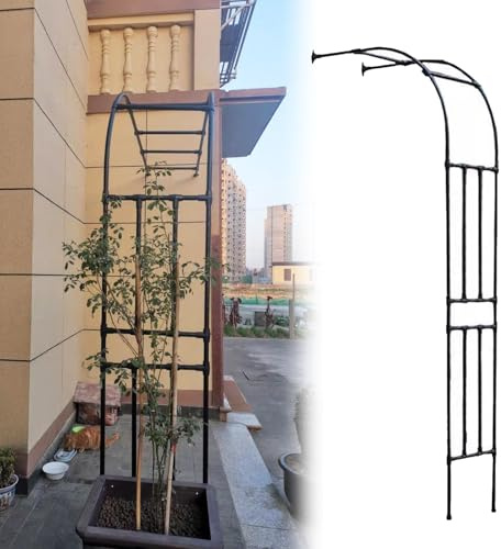 Metal Garden Pergola - Black Trellis for Outdoor Decor - 2.4 x 2.4m Heavy-Duty Support for Climbing Plants & Flowers - Durable 240x240cm Structure