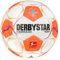 Derbystar Bundesliga Club Light v24 Gr.4