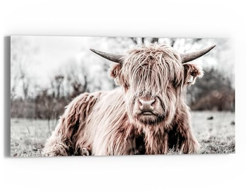 DEQORI Glasbild Echtglas | Motiv Ruhendes Hochland | horizontal einteilig 60x30 cm | schöne Dekoration | Wandbild für Wohnzimmer, Schlafzimmer, Flur & Küche | moderne Wanddeko