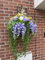 clicktostyle Artificial Flower Hanging Basket Garden Outdoor Decoration Extra Large Size Vibrant Colours