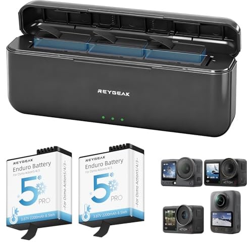 REYGEAK Batteria e Caricatore per DJI Osmo Action 6/5/4/3-2 Batterie Sostitutive da 2200mAh con Caricatore Triplo, Accessorio Estensione Autonomia per OSMO Action Accessori