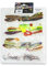 ShadXperts Stillwasser Zander Set