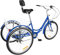 RainWeel Dreirad für Erwachsene 24 Zoll Dreirad Faltbares Fahrrad mit Aufbewahrungskorb Lastenfahrrad 7 Gang Adult Tricycle (Blau)