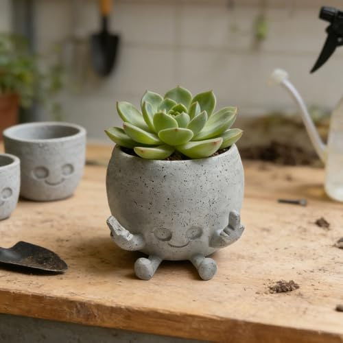 SGZIOO Pot de fleurs pour le visage, pot de fleurs drôle avec doigt du milieu, pot avec visage pour plantes succulentes, petites plantes, cadeau pour les amateurs de plantes, décoration de table