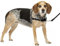 PetSafe Easy Walk Hundegeschirr, kein Ziehen, das ultimative Geschirr, um das Ziehen zu stoppen, übernimmt die Kontrolle und lehrt bessere Manieren der Leine, verhindert das Ziehen von Haustieren bei