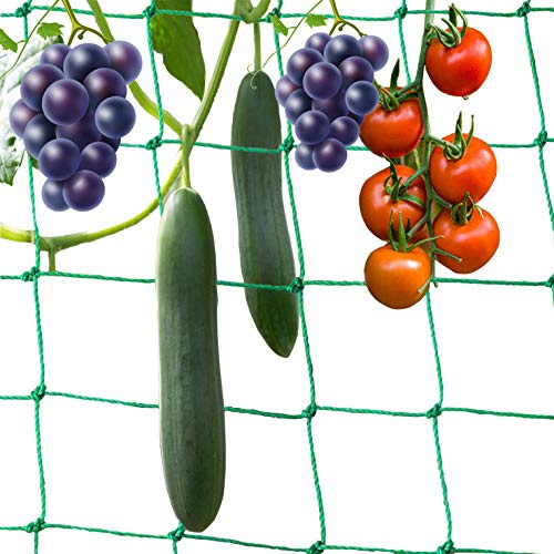 10 * 2M Red para Plantas Trepadoras con Gran Anchura de Malla para la Cosecha de Alto Rendimiento de Pepinos Tomates y Otras hortalizas (10 * 2M)