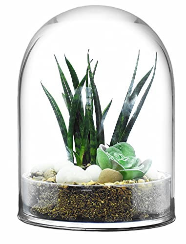 SOLAVIA Glass Dome Only Succulent Vase Centrepiece Vase H22cm D15cm Housewarming Gift Mother's Day Only Dome