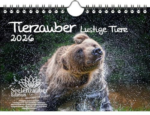 Tierzauber lustige Tiere DIN A5 Kalender für 2026 Lustige Momente - Set-Inhalt: 1x Kalender 1x Weihnachtsanhänger 1x Grußanhänger (gesamt 3 Teile)