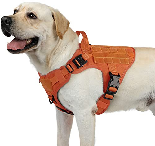 rabbitgoo No Pull Hundegeschirr Mittlere Grosse Hunde, Taktische Brustgeschirr mit MOLLE Griff Metallschnallen, Atmungsaktiv Militär Sicherheitsgeschirr, Verstellbares Gepolstert Hundeweste, M Orange