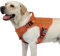 rabbitgoo No Pull Hundegeschirr Mittlere Grosse Hunde, Taktische Brustgeschirr mit MOLLE Griff Metallschnallen, Atmungsaktiv Militär Sicherheitsgeschirr, Verstellbares Gepolstert Hundeweste, M Orange