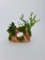 Garnelenbäumchen Rainbow 1 Loch Gestein ca. 17x12 cm mit echtem Farn,Anubias uns Moos bepflanzt