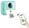SOARFLY Mini Drucker für Smartphone, Fotodrucker für Smartphone, Mini Drucker Aufkleber, Thermodrucker, Tiny Printer mit Klebepapier, Mini Drucker für Lernhilfe, Notizen, Fotos, DIY - Grün